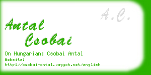 antal csobai business card